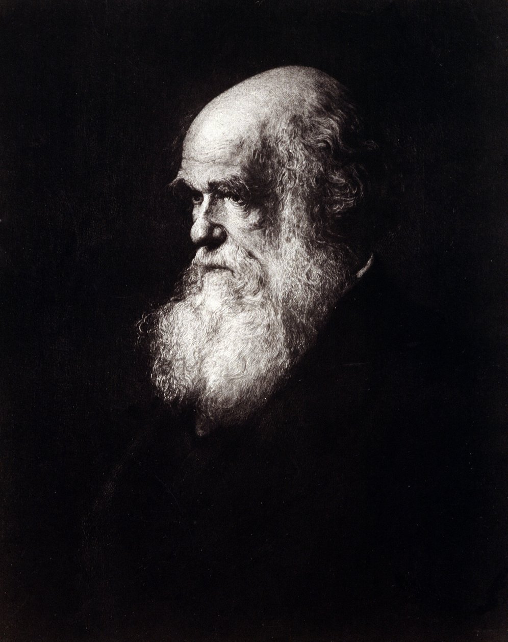 Porträt von Charles Robert Darwin (1809 - 1882) von Unknown artist