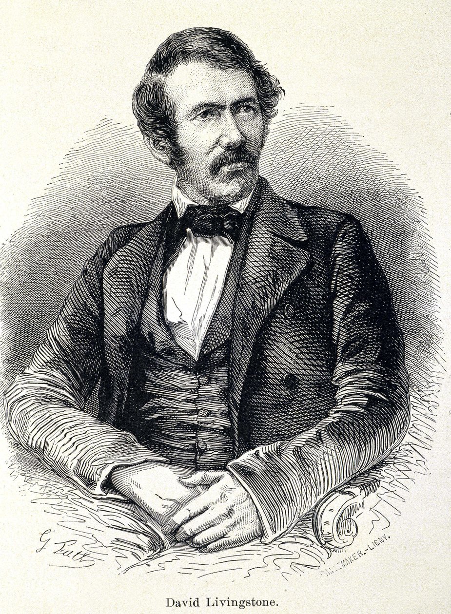 Porträt von David Livingstone, schottischer Missionar (1813-1873) von Unknown artist