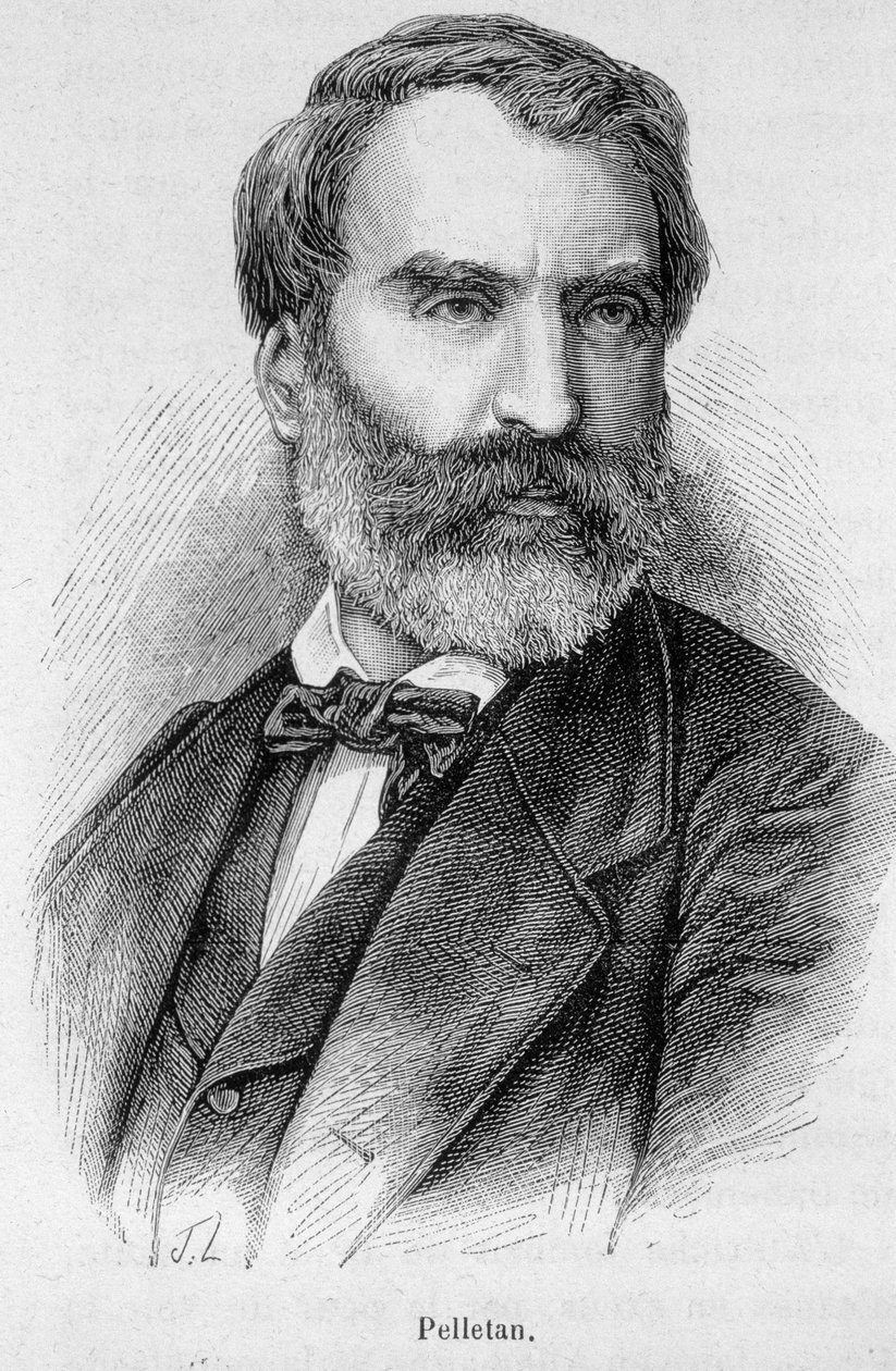 Porträt von Eugene Pelletan (1813-1884), französischer Journalist, Schriftsteller und Politiker von Unknown artist