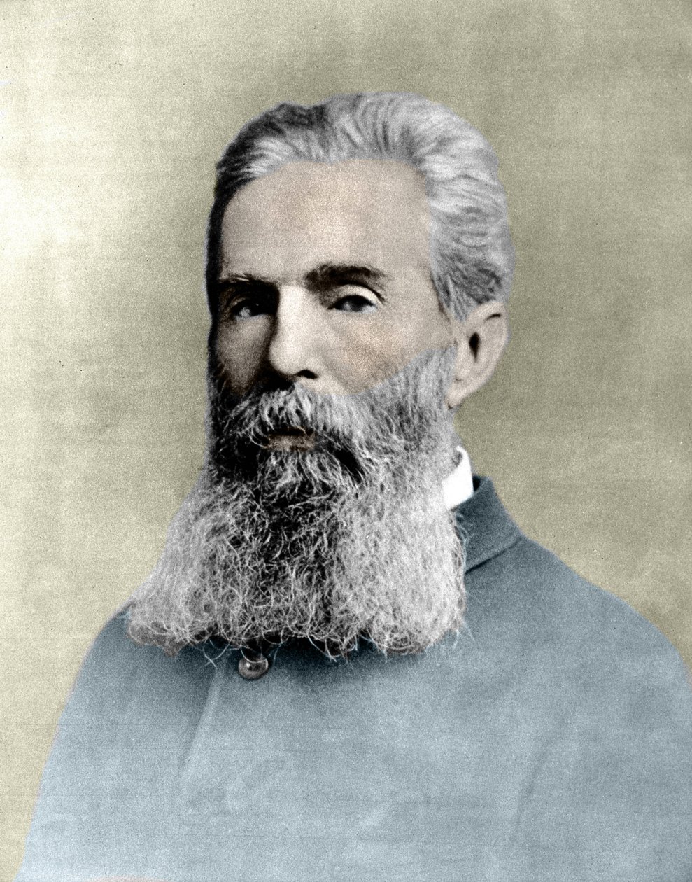 Porträt von Herman Melville (1819-1891), amerikanischer Schriftsteller. von Unknown artist