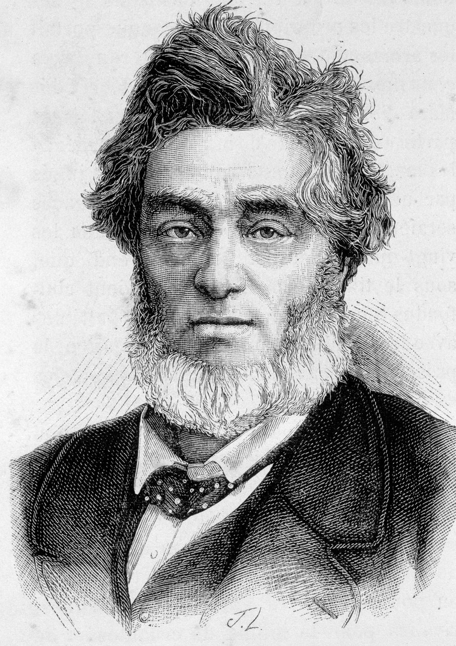 Porträt von Jules Favre (1809 -1880), französischer Politiker von Unknown artist
