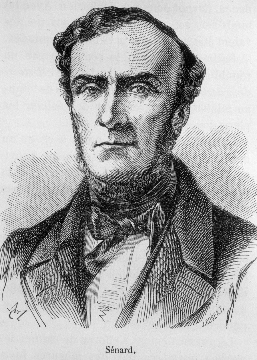 Porträt von Marie Antoine Jules Senard, Mitglied der Pariser Anwaltskammer, ehemaliger Präsident der Nationalversammlung und ehemaliger Innenminister. Er verteidigte Gustave Flaubert während des Prozesses nach der Veröffentlichung von Madame Bovary. Gravur von Unknown artist