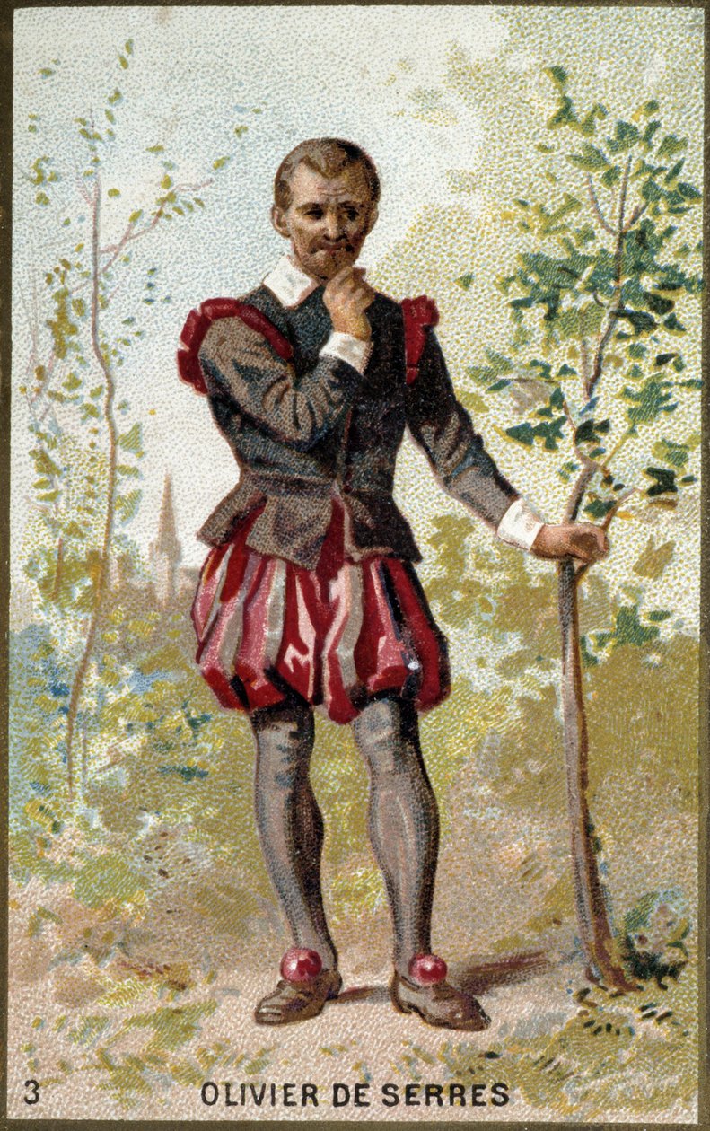 Porträt von Olivier de Serres (1539 - 1619), französischer Agronom. Chromolithographie des 19. Jahrhunderts. von Unknown artist