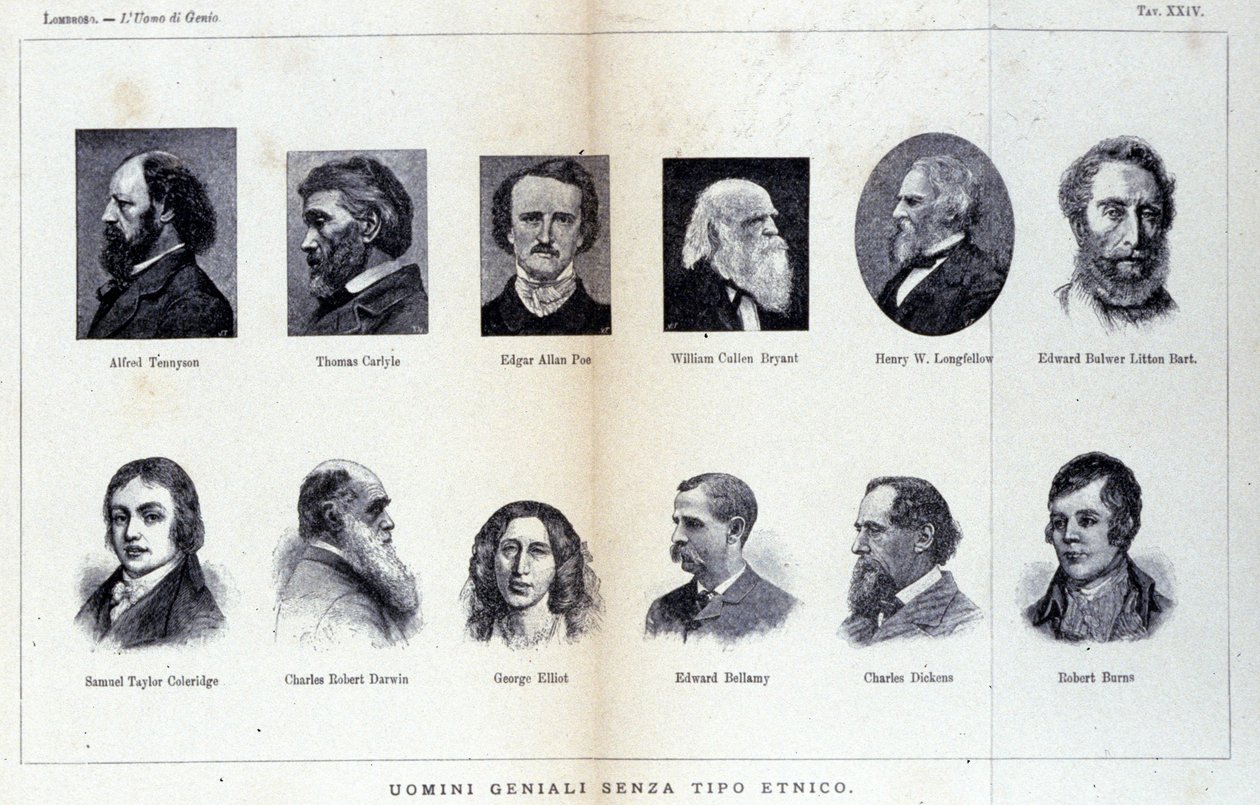 Porträts verschiedener Genies. Studie erschienen in „Der geniale Mensch“ von Cesare Lombroso (1835-1909) von Unknown artist