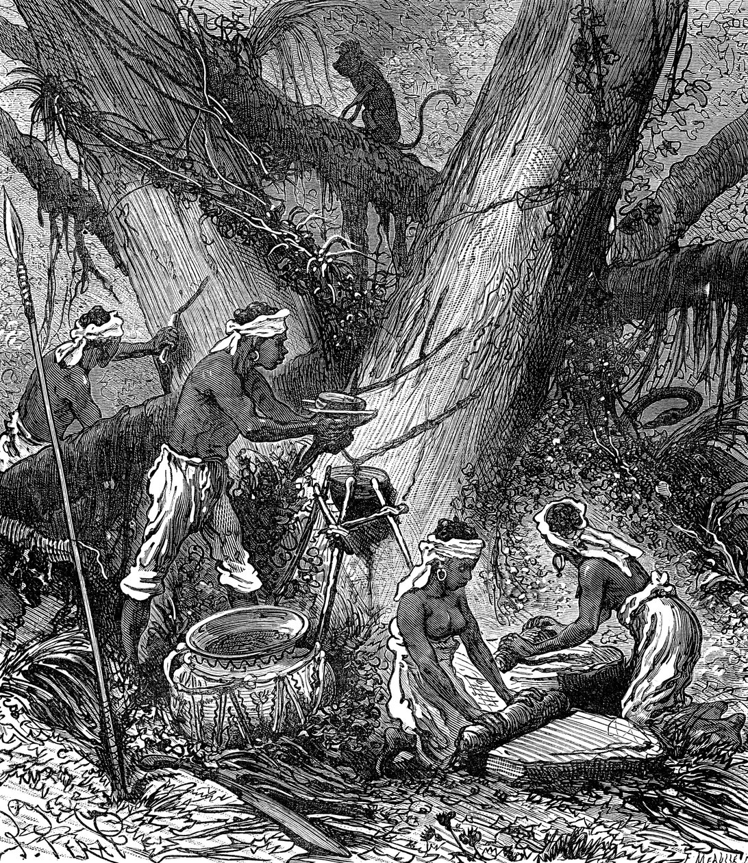 Kautschukernte im malaysischen Wald (Gravur) von Unknown Artist