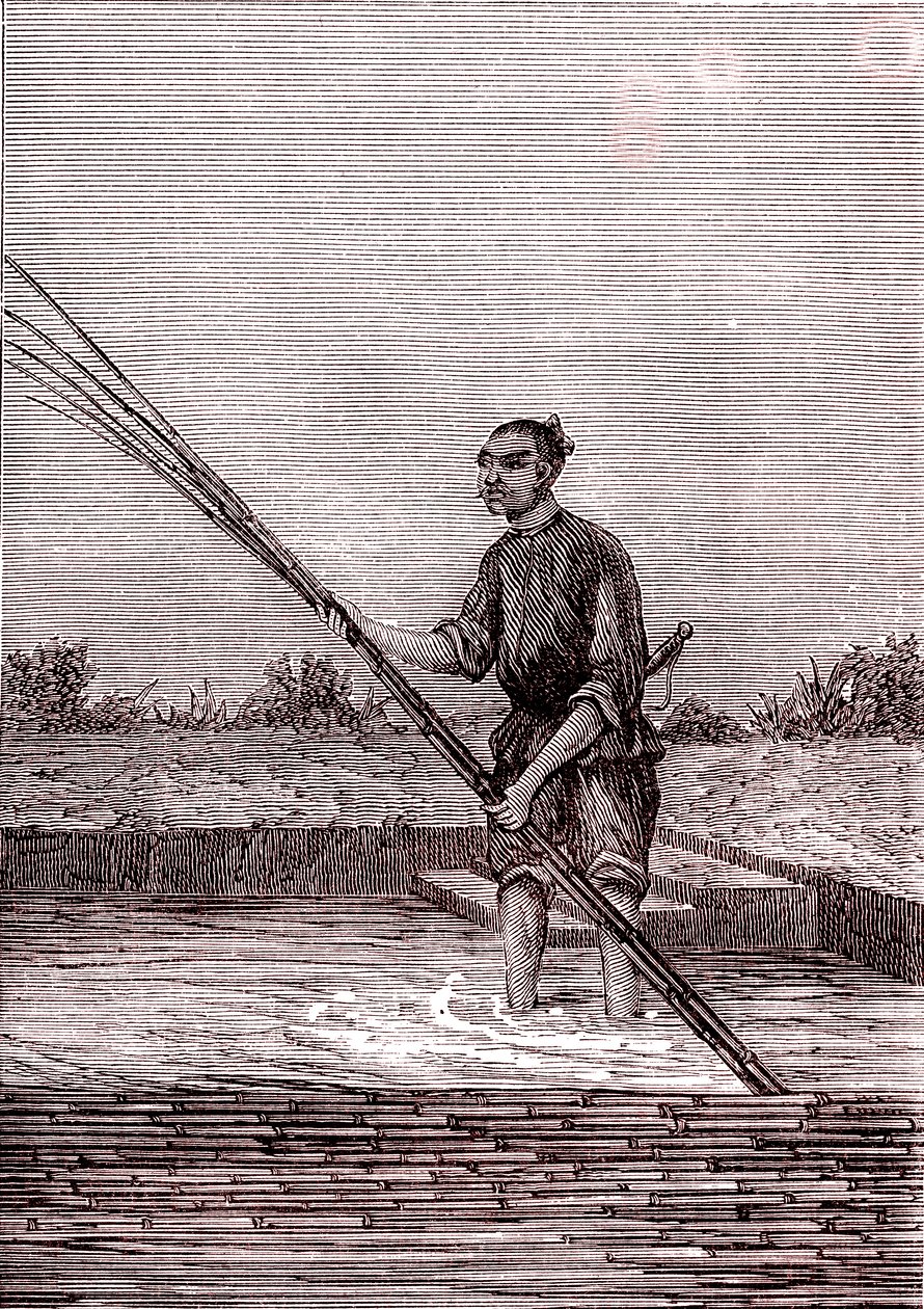 Rosten des nassen Bambus, Papierherstellung in China (3. Jahrhundert v. Chr.) (Gravur) von Unknown Artist
