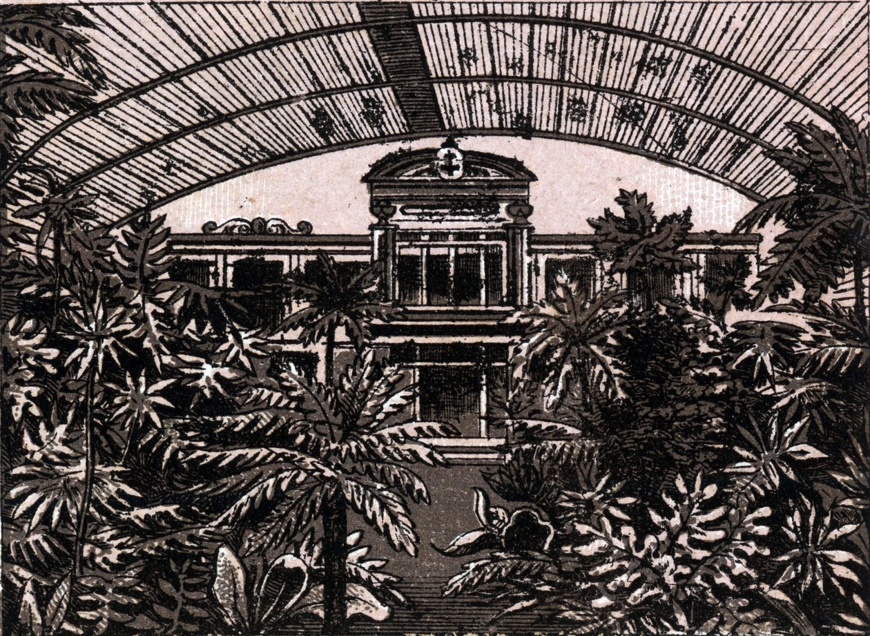 Der Palmengarten in Frankfurt, Deutschland in „Die Welt illustriert 168 Ansichten“ von Unknown artist