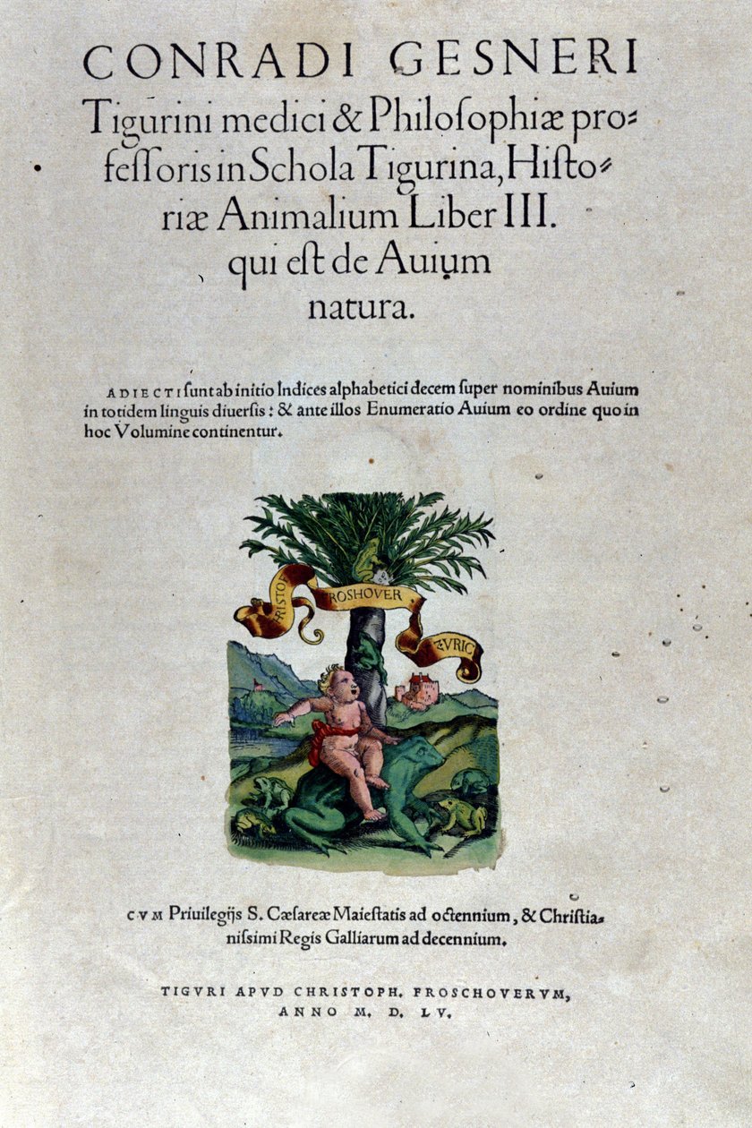 Das Frontispiz des dritten Bandes von Historia Animalium von Conrad Gesner (1516 - 1565), Tiguri von Unknown artist