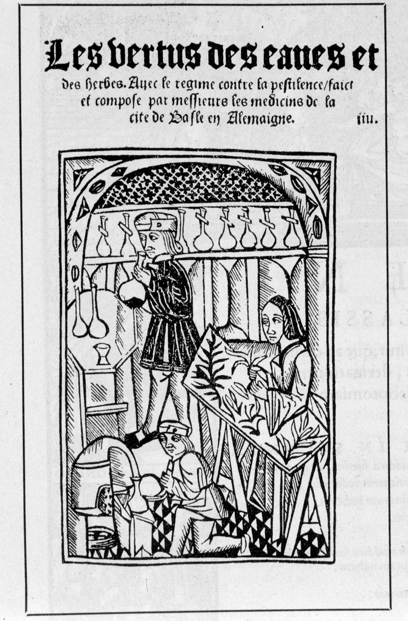 Das Geschäft eines Apothekers im 16. Jahrhundert von Unknown artist
