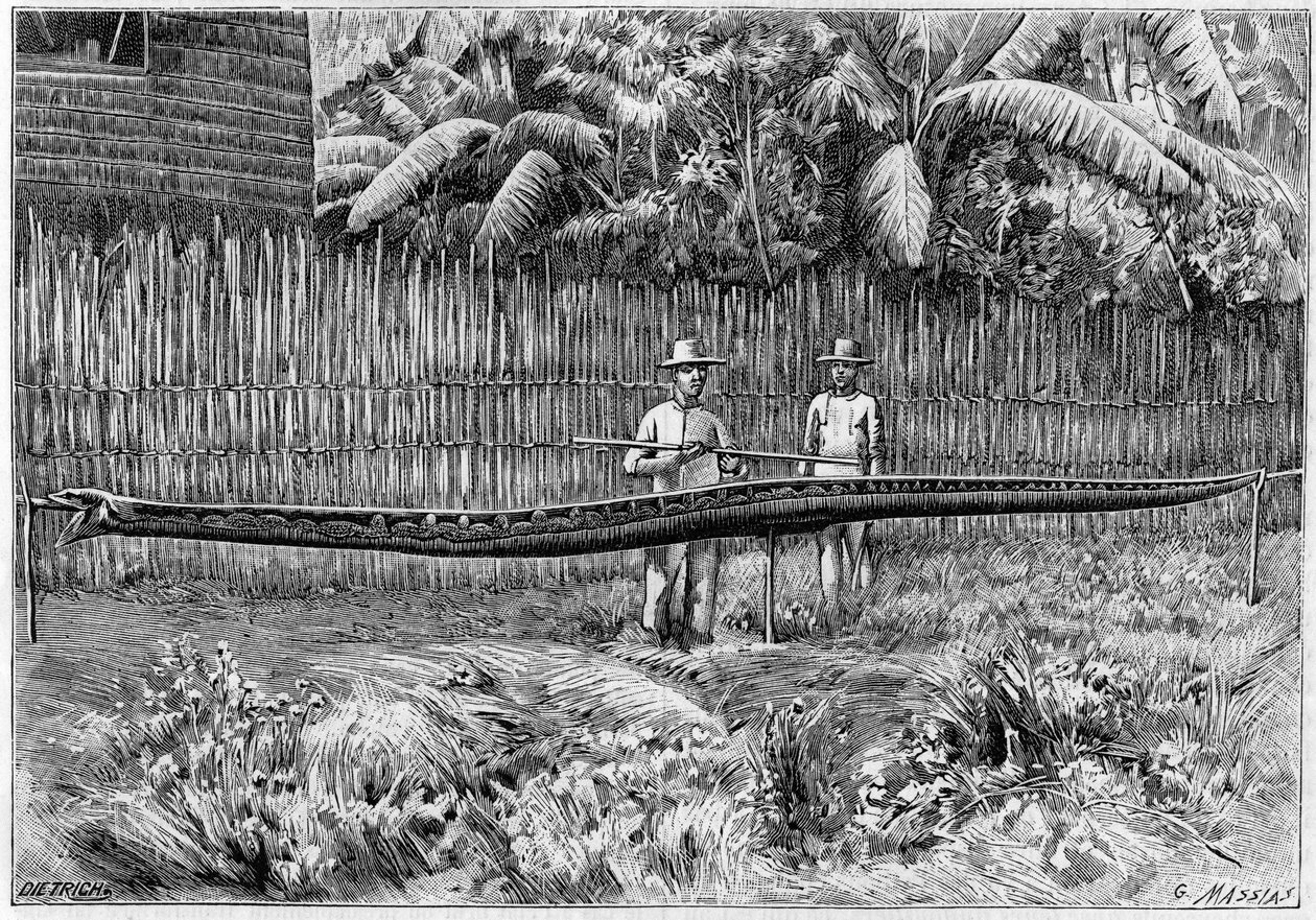 Die Haut einer Python-Schlange, 6,60 m lang, gefangen auf den Philippinen. (Nach einem Foto). Gravur in „La Nature: revue des sciences et de leurs applications aux arts et a l