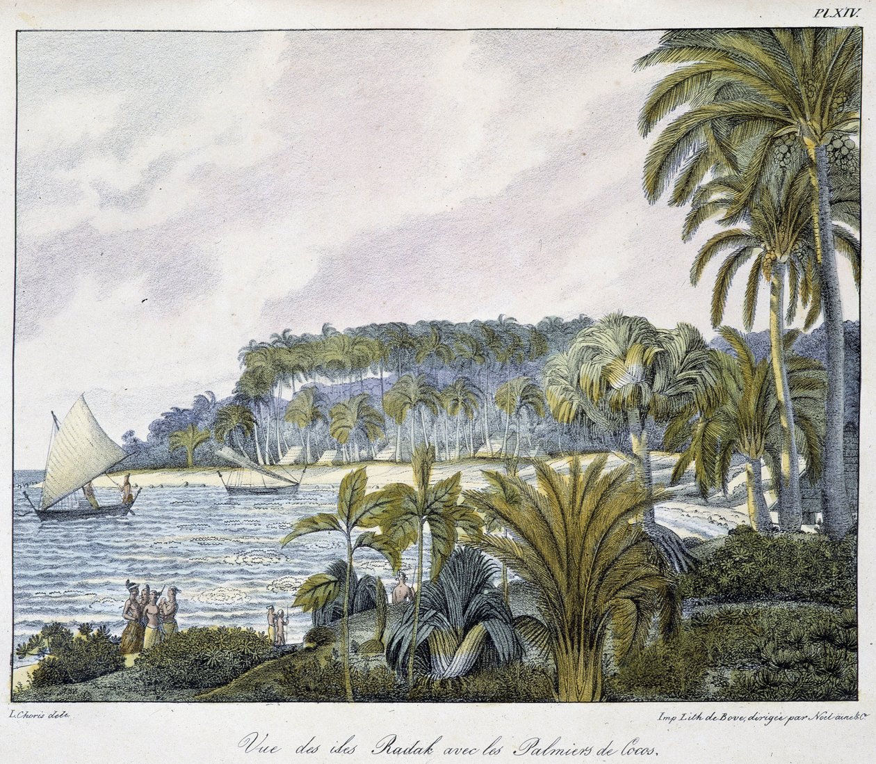 Ansicht der Radak-Inseln des Marshall-Insel-Archipels. von Unknown artist