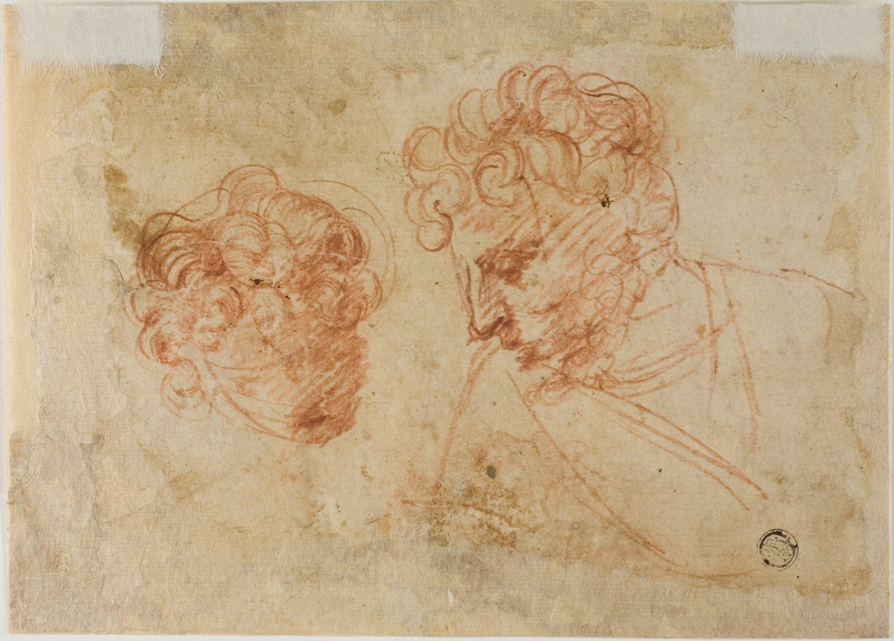 Zwei Skizzen von Köpfen (recto); Zwei Skizzen einer drapierten Frau (verso) von Unknown Florentine