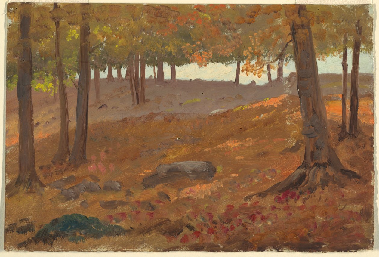 Wälder im Herbst von Unknown artistUnknown artist