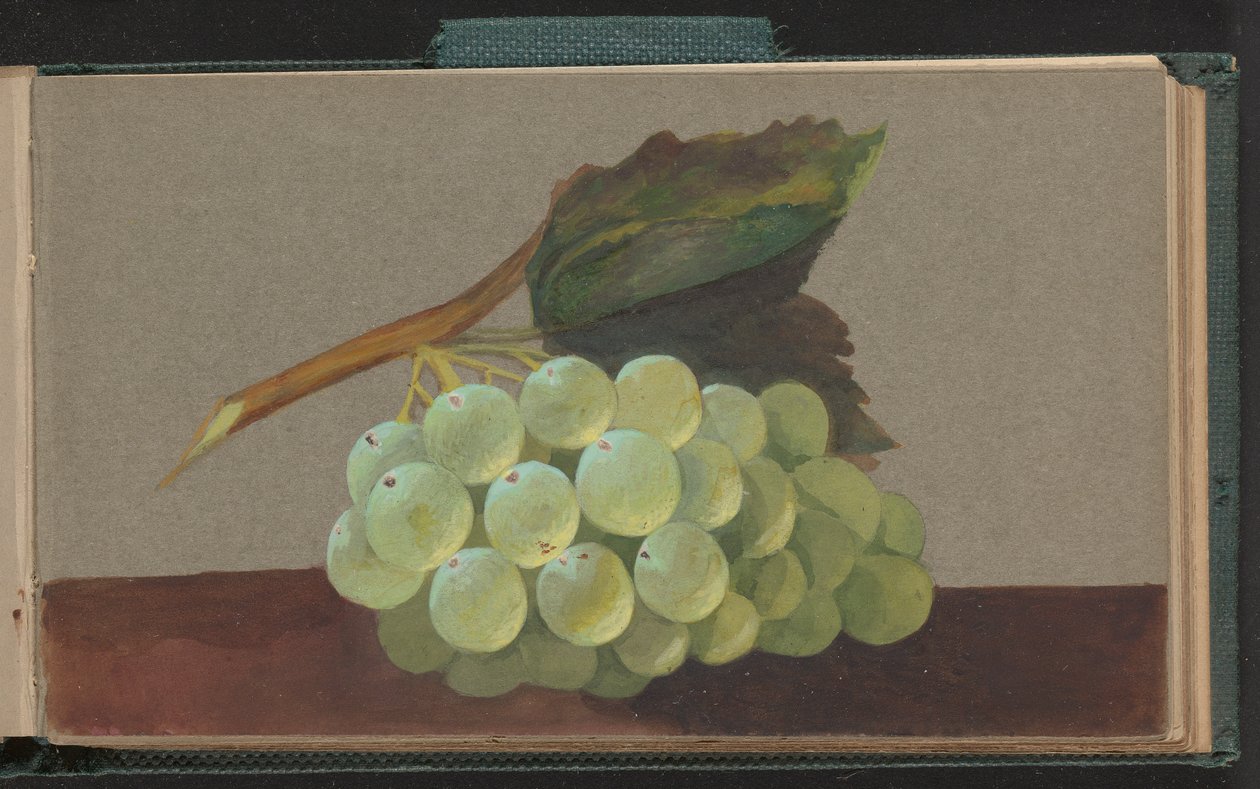 Ein Bündel Trauben von Unknown artist