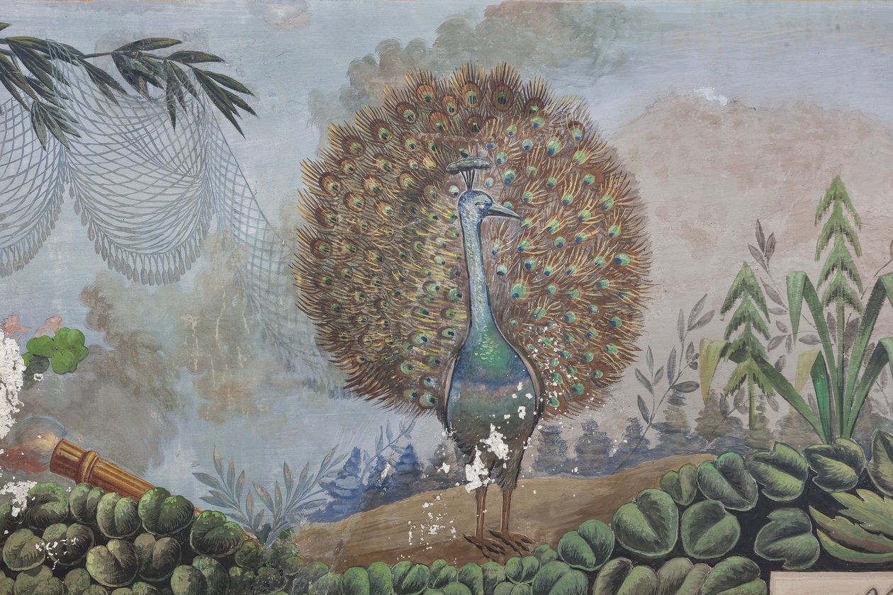 Ein Pfau (Detail) von Unknown artist
