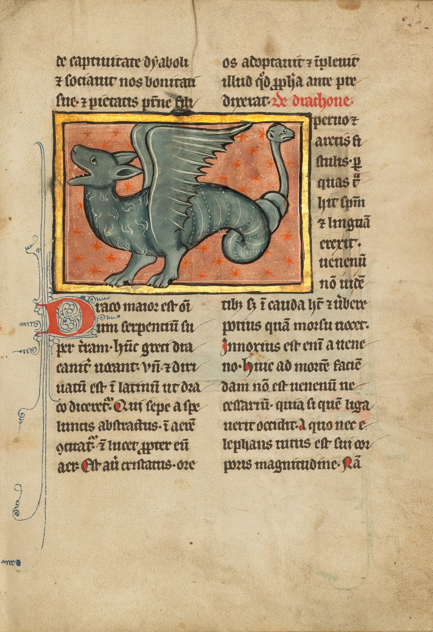 Ein geflügelter Drache von Unknown artist