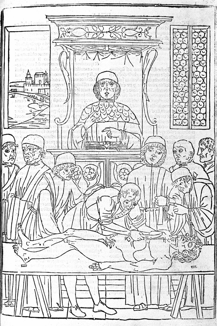 Anatomische Dissektion. Gravur aus einem medizinischen Traktat von Gerolamo Cardano, Florenz. von Unknown artist