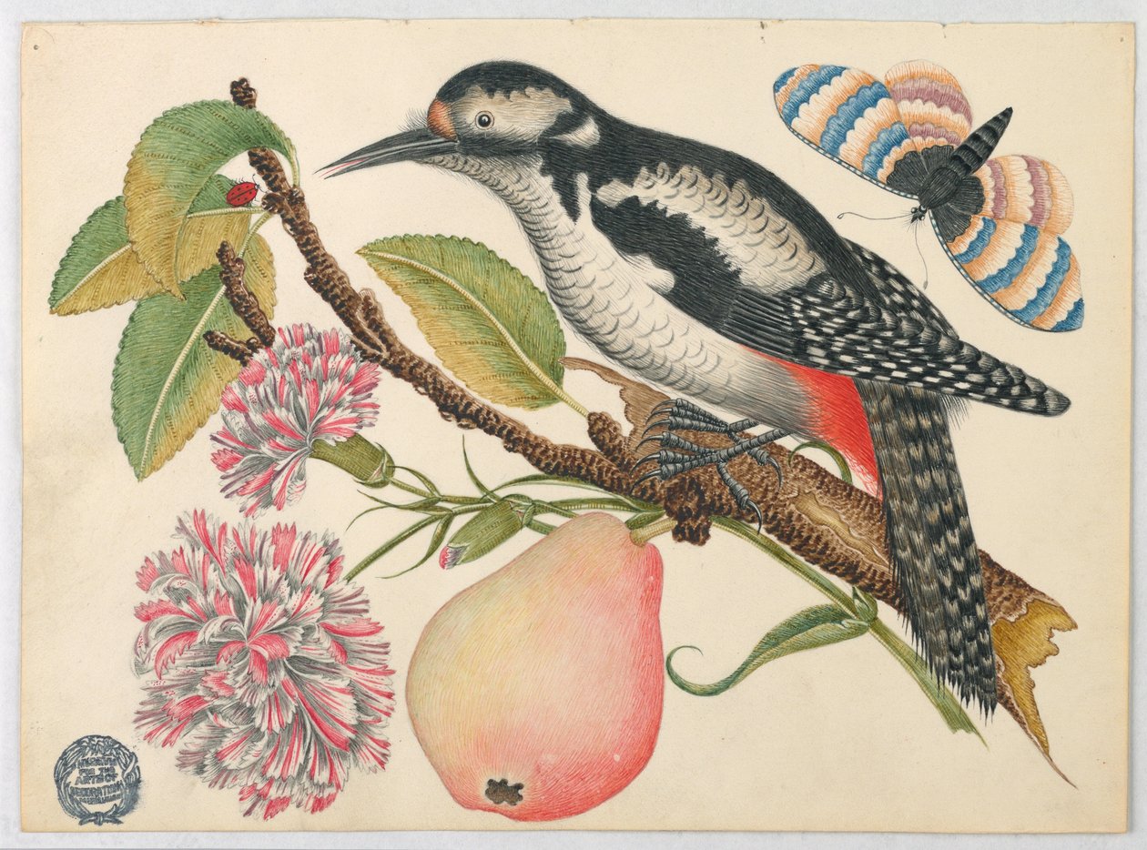 Vogel, Schmetterling und Birne von Unknown artist
