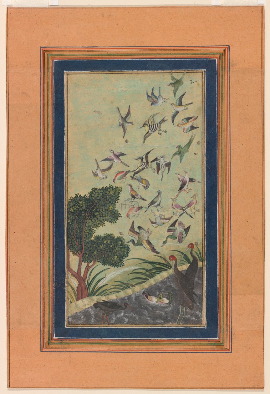 Vögel in Baran, möglicherweise aus dem Babur-nama von Unknown artist