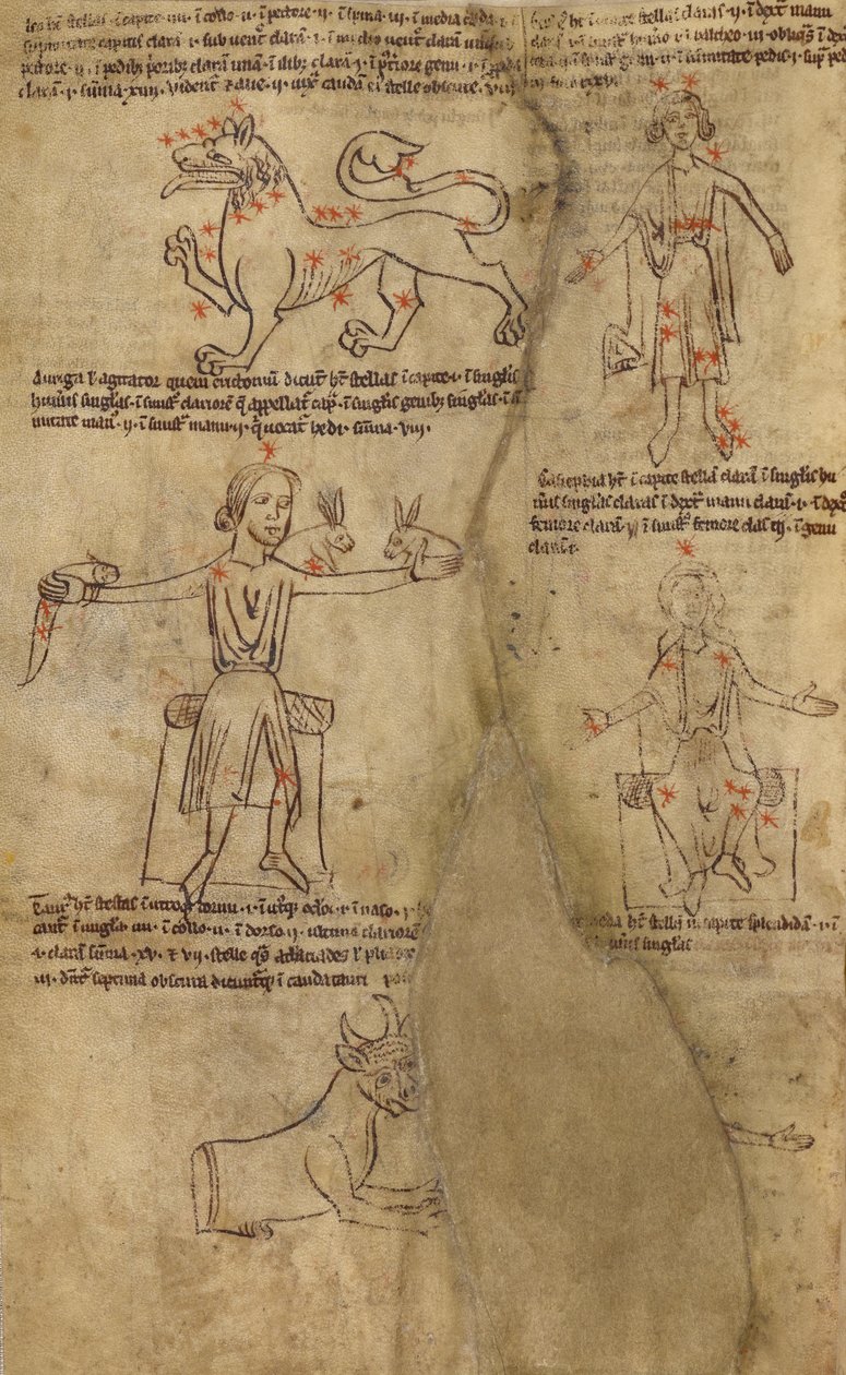 Sternbilddiagramme von Unknown artist