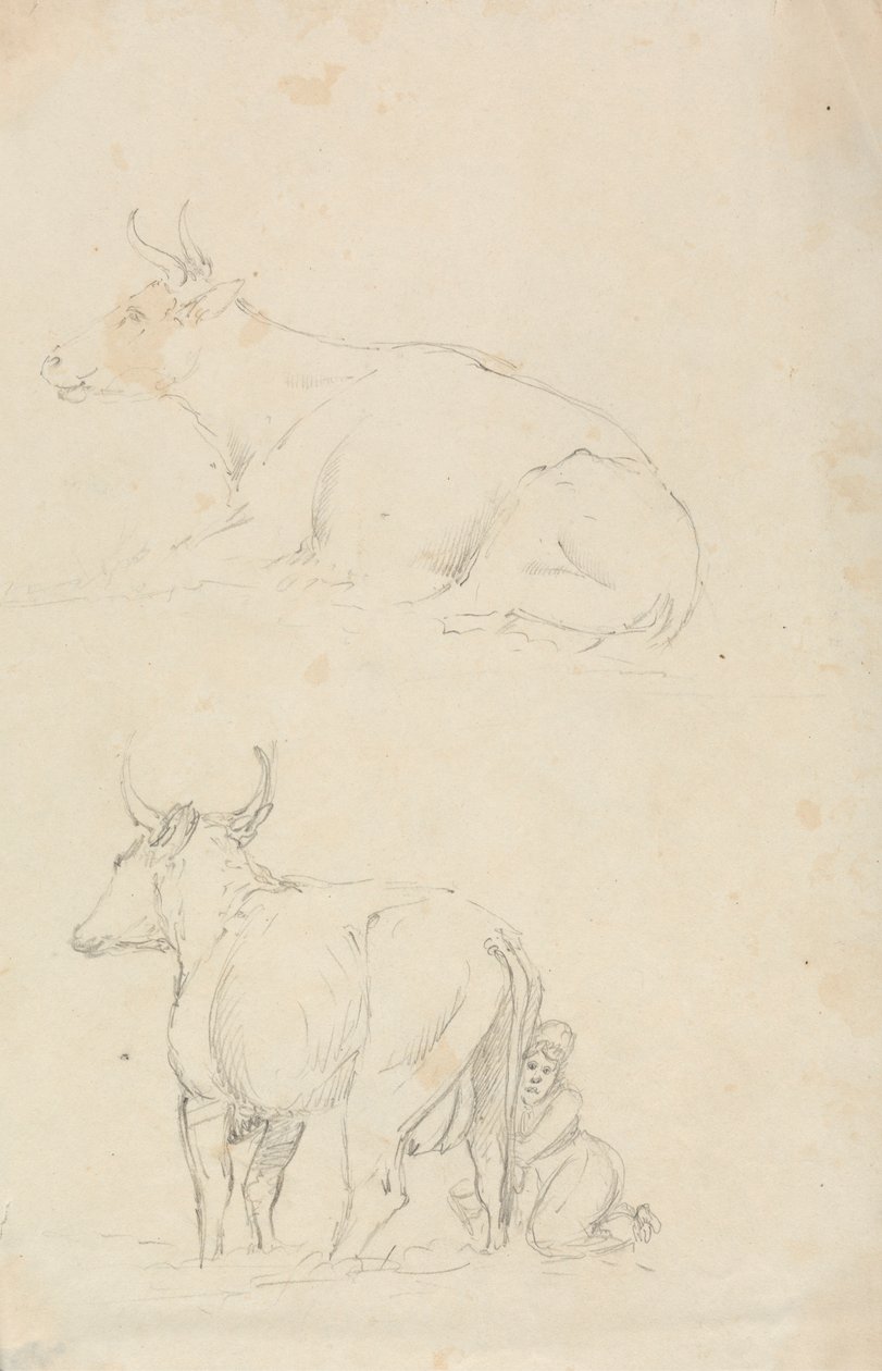 Kühe und Milchmädchen von Unknown artist