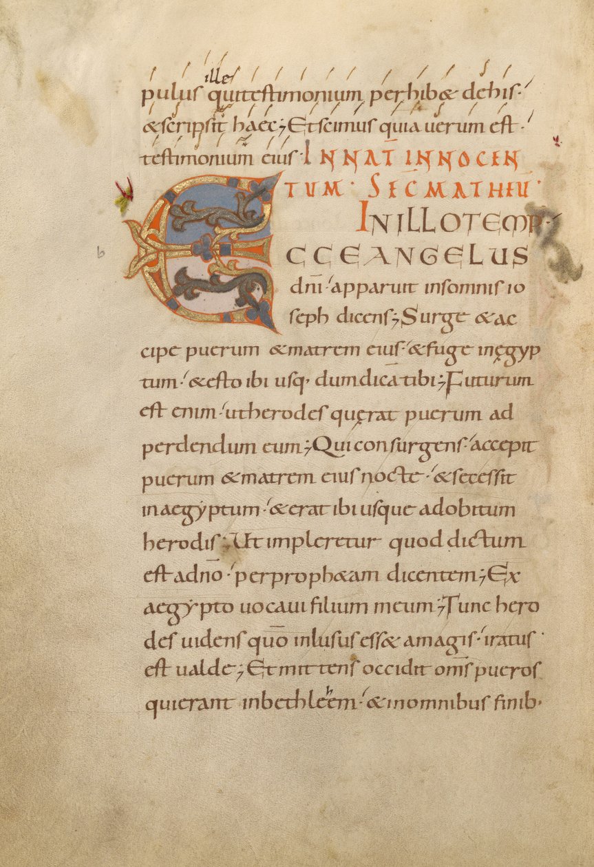 Dekoriertes Initial E von Unknown artist