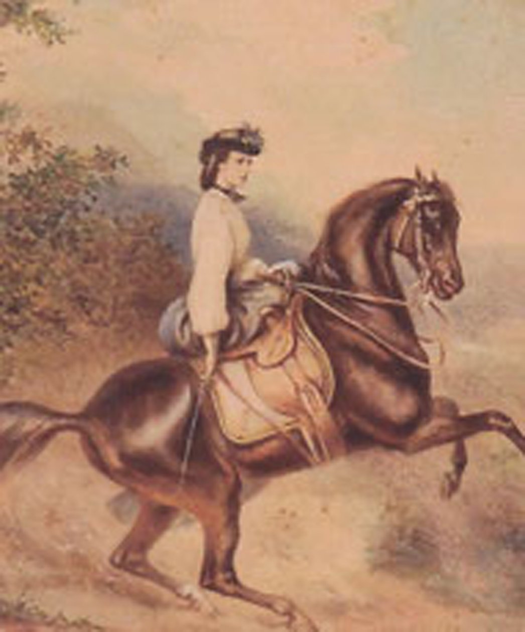Elisabeth, Kaiserin von Österreich und Königin von Ungarn (24. Dezember 1837 – 10. September 1898) (Illustration) von Unknown artist