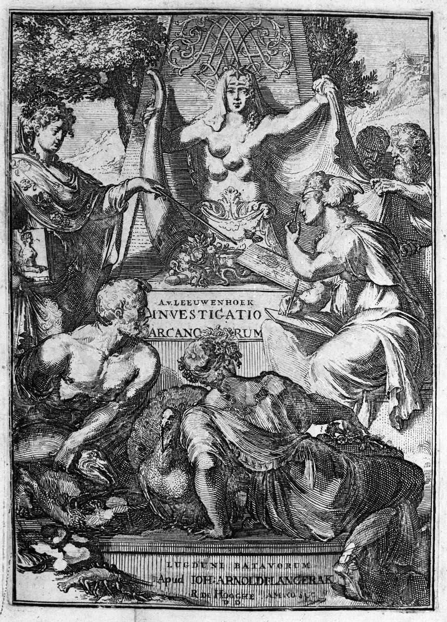 Falscher Titel des Werks „Investigatio Arcanorum“ des niederländischen Händlers und Gelehrten Antoine van Leeuwenhoek (oder Leeuvenhoek Leeuwenhoeck) (oder Antoni oder Anthonie) (1632-1723) 1722 von Unknown artist