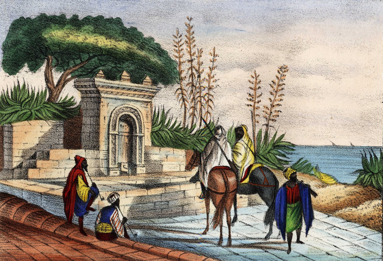 Brunnen in der Nähe von Algier von Unknown artist