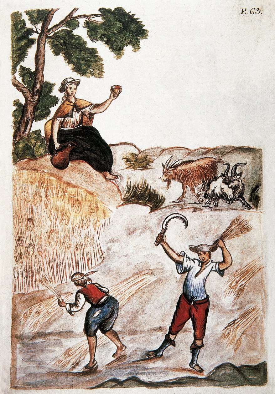 Ernten, Indianer von Peru arbeiten auf den Feldern. Aquarell des 18. Jahrhunderts Madrid. Biblioteca del Palacio Real von Unknown artist