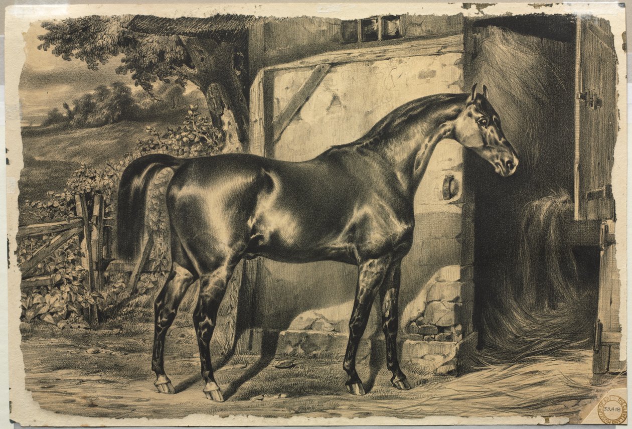 Pferd vor einer Scheune (Rückseite) von Unknown artist