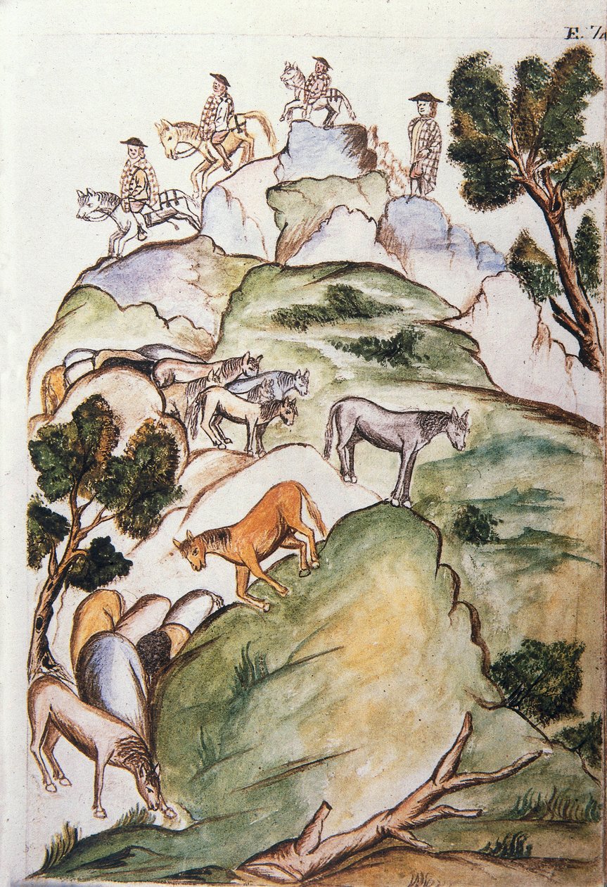 Pferdehüter umzingeln Stuten in den Bergen, um sie zu fangen, aus dem Buch "Trujillo del Peru" oder "Códice Martínez Compañón", von Baltazar Martinez Compañón y Bujanda, Bischof von Trujillo (1782-1785) von Unknown artist