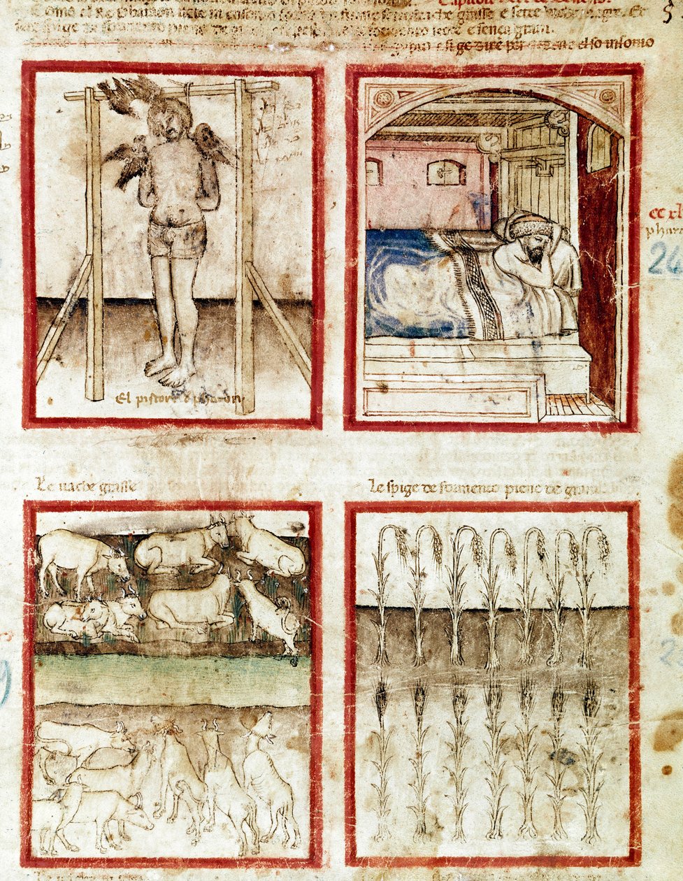 Joseph deutet die Träume des Korbmachers, der enthauptet wird. Oben rechts träumt der Pharao von den sieben fetten Kühen, Vorahnung der Jahre des Überflusses, und den sieben mageren Kühen der Jahre des Hungers. Miniatur aus Codex 212 von Unknown artist