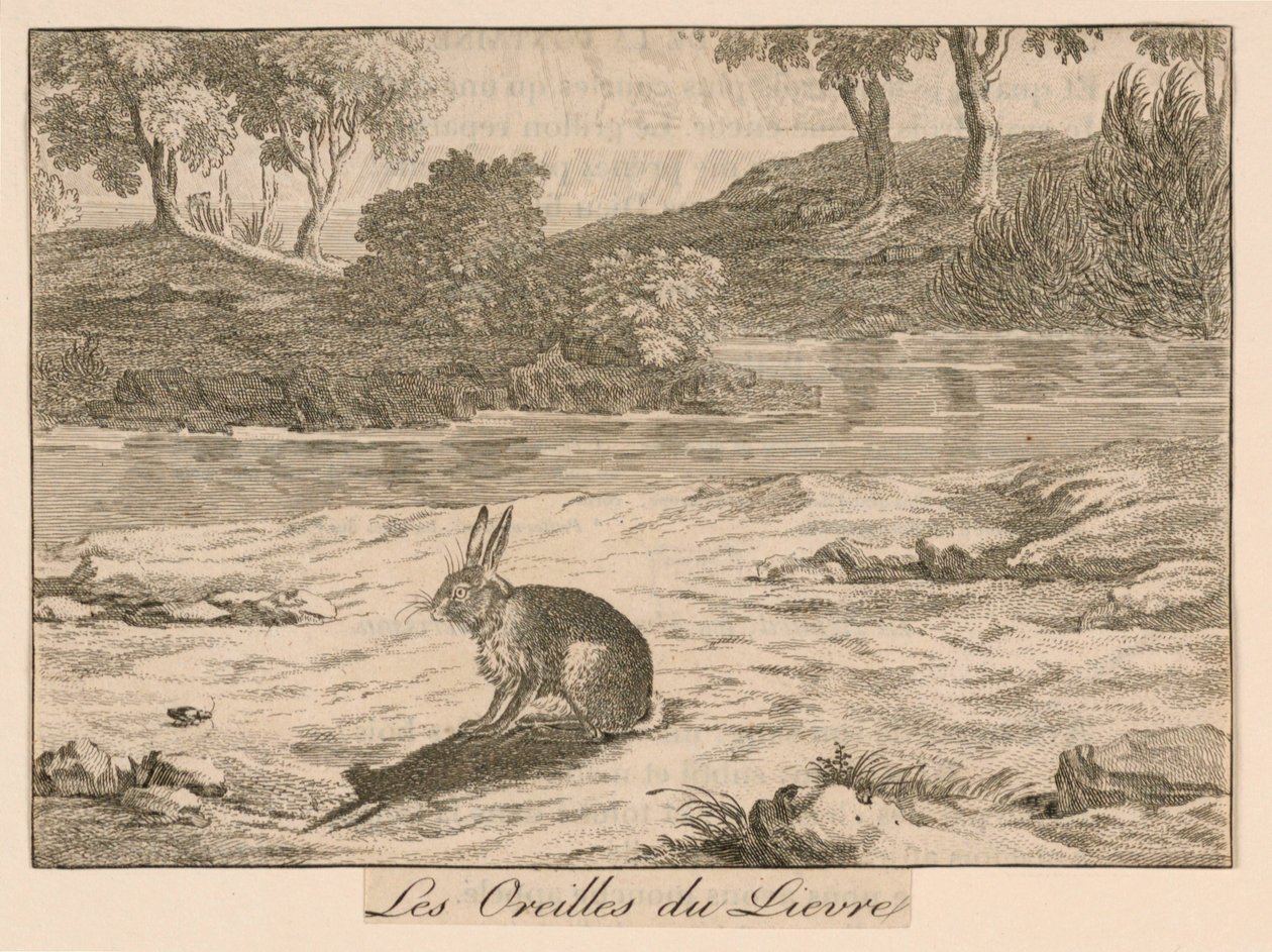 "Les Oreilles du Lieure" aus La Fontaines Fabeln von Unknown artist