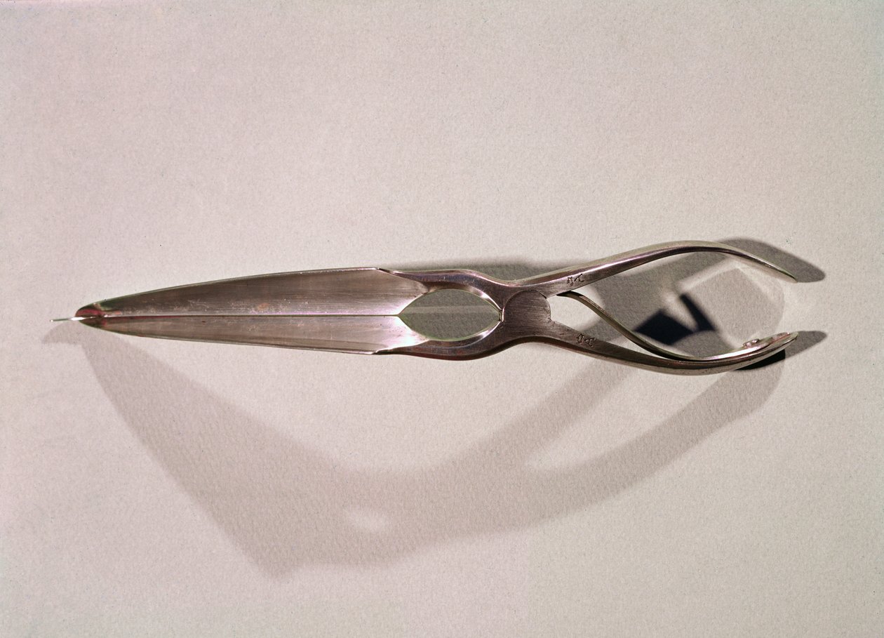 Medizinisches Instrument: ein Dilatator von Unknown artist