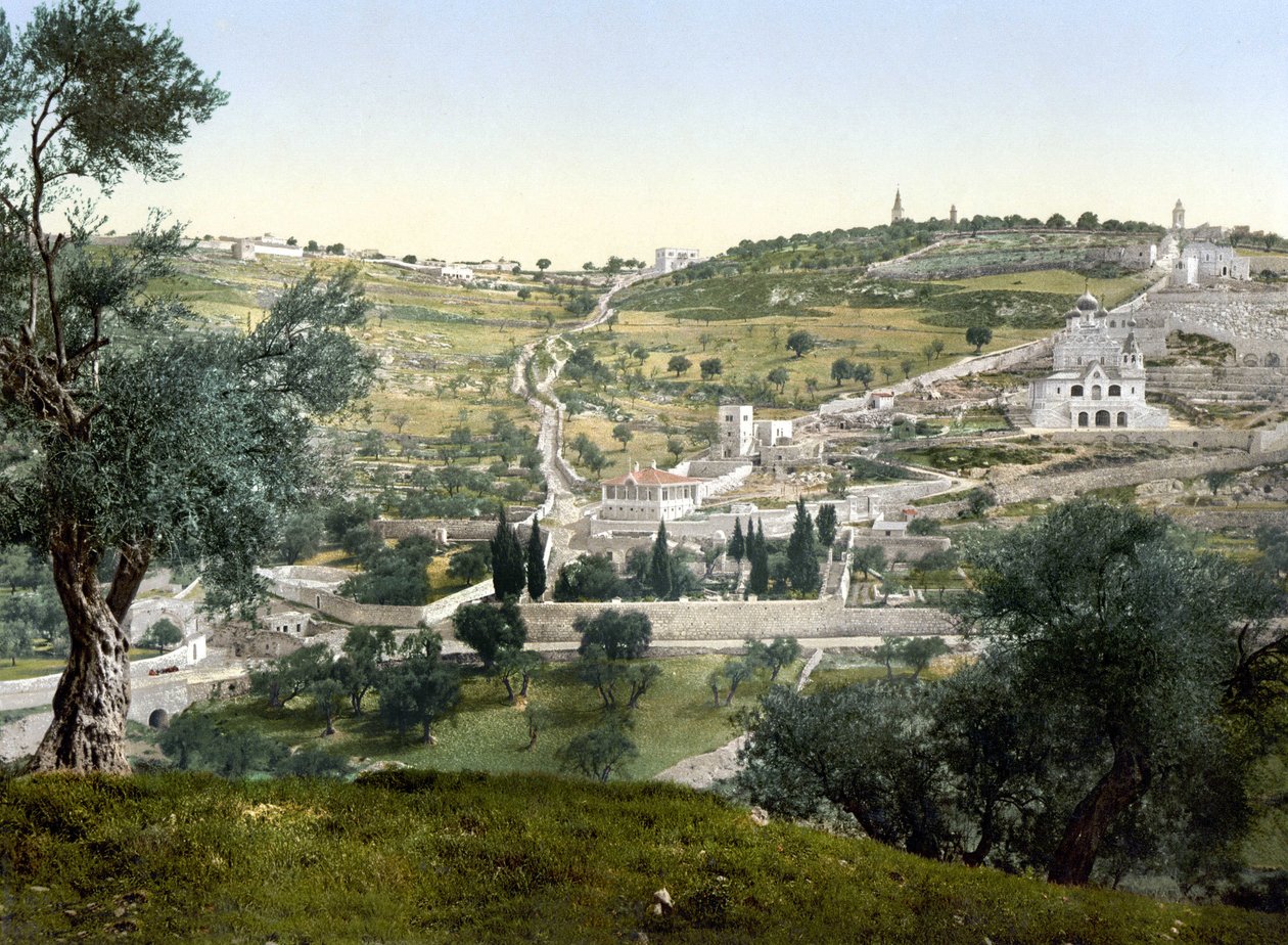 Ölberg und Gethsemane, Jerusalem. Fotochrom zwischen 1890-1900. von Unknown artist