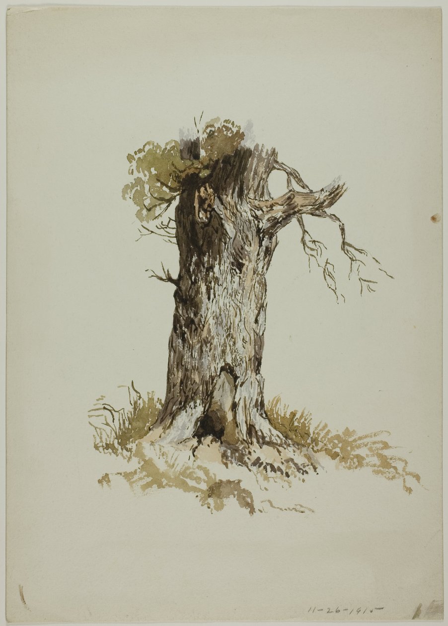 Alter Baumstamm von Unknown artist