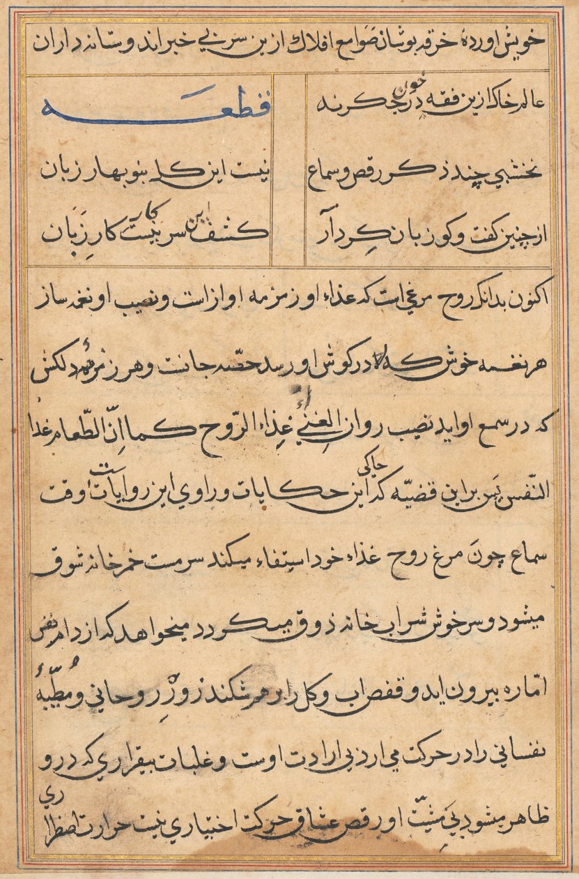 Seite aus Geschichten eines Papageis (Tuti-nama): Textseite von Unknown artist