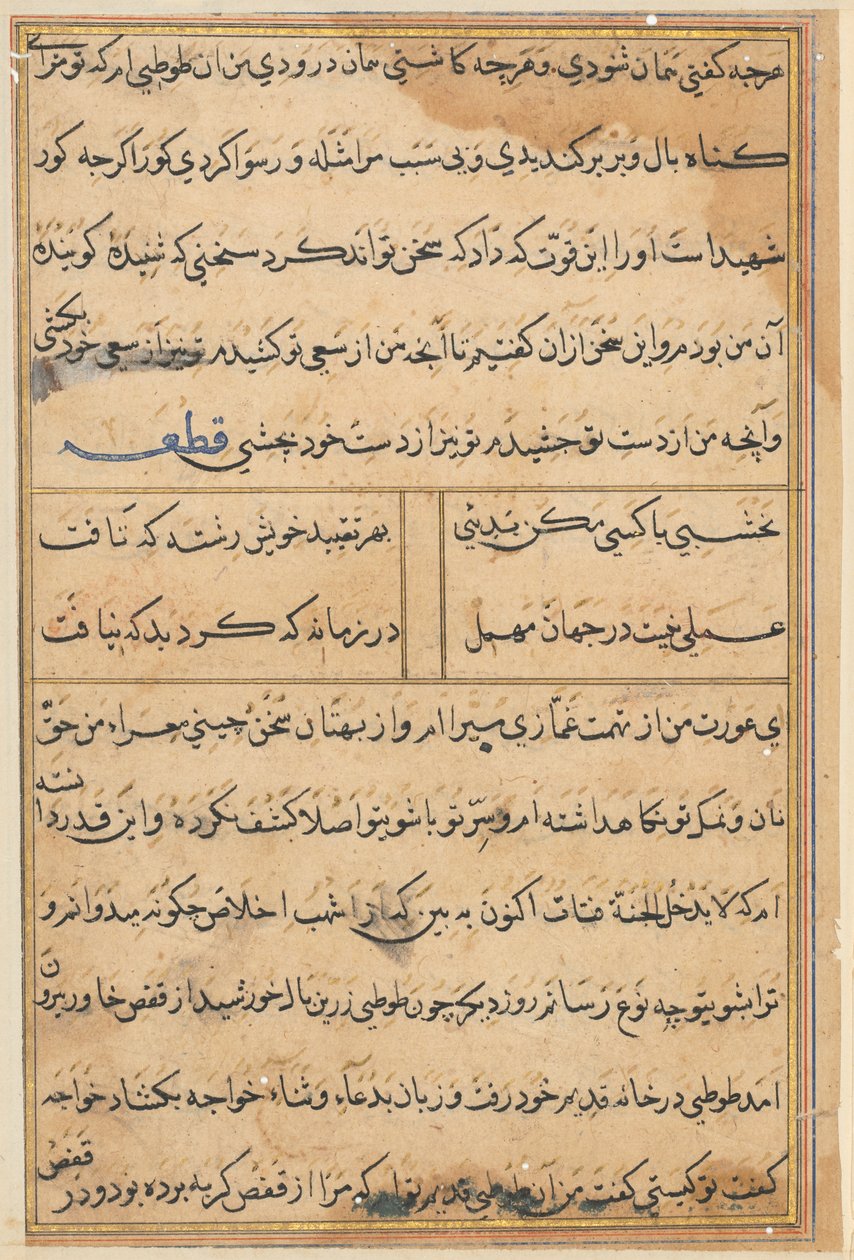 Seite aus Geschichten eines Papageis (Tuti-nama): Textseite von Unknown artist