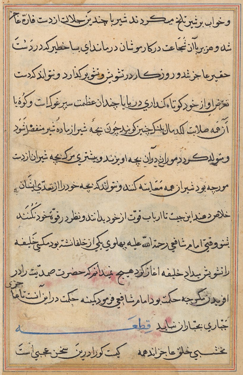 Seite aus Geschichten eines Papageis (Tuti-nama): Textseite von Unknown artist
