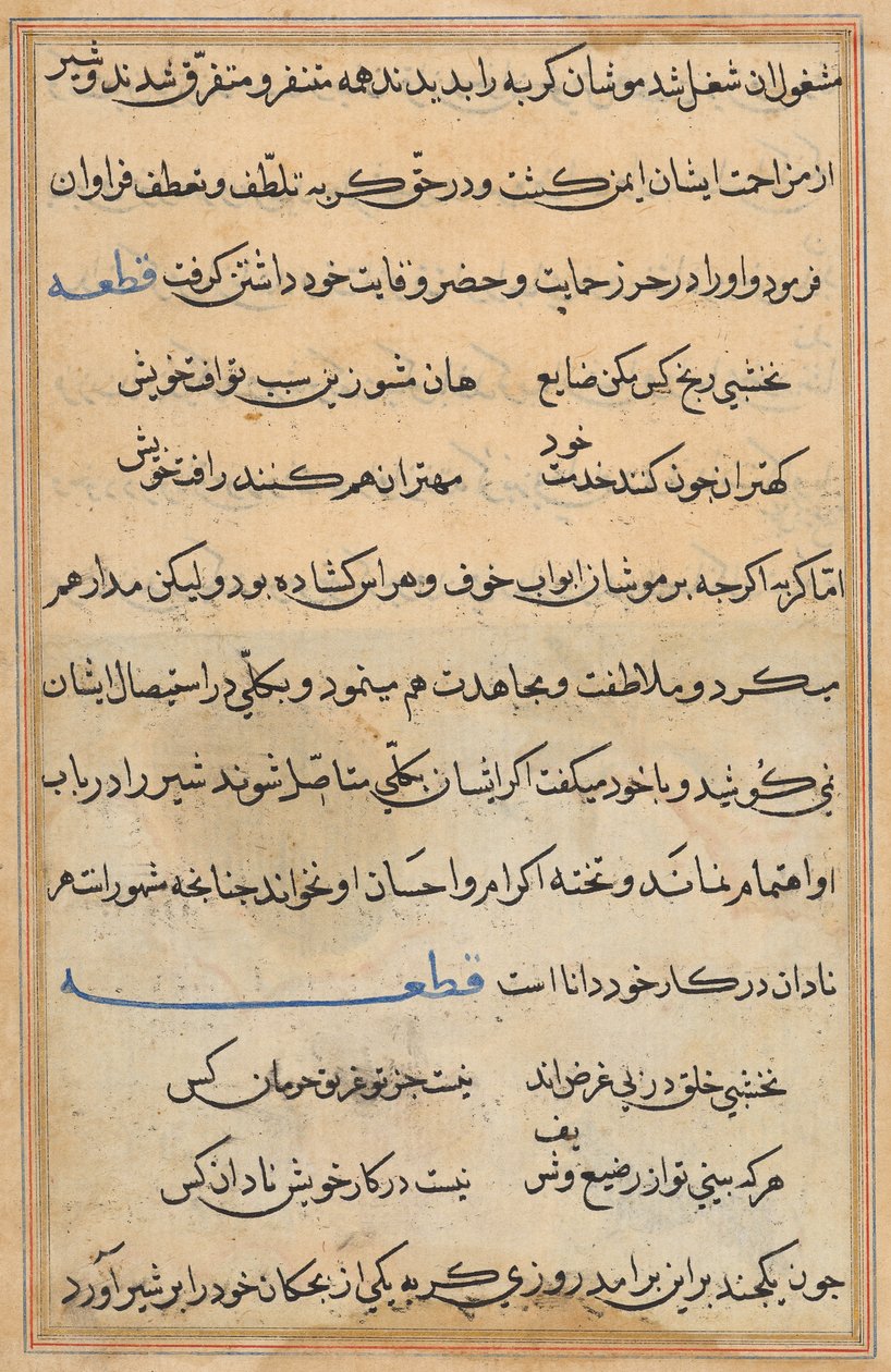 Seite aus Geschichten eines Papageis (Tuti-nama): Textseite von Unknown artist