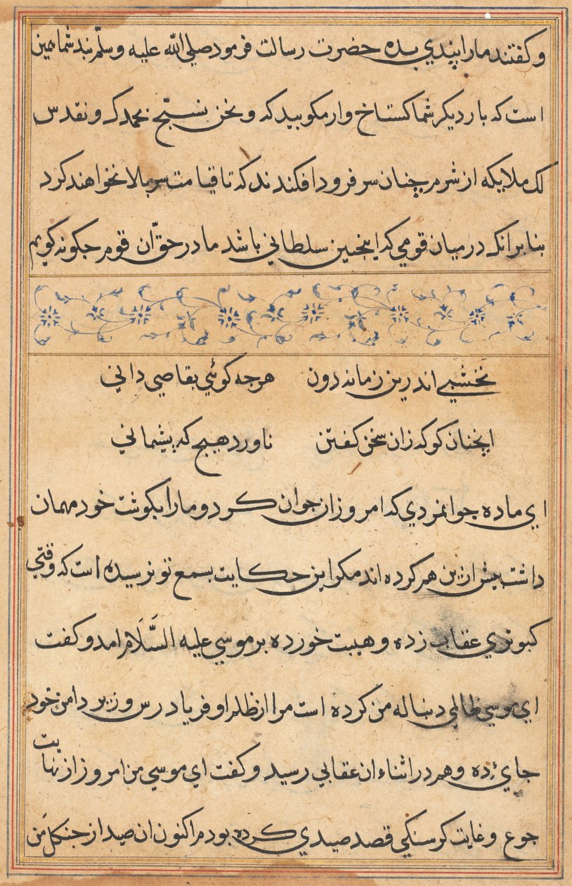 Seite aus Geschichten eines Papageis (Tuti-nama): Textseite von Unknown artist