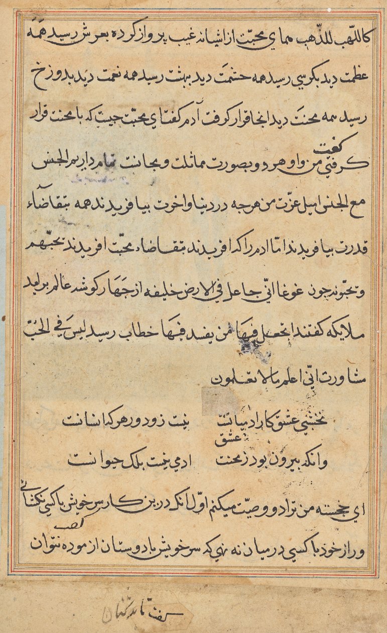 Seite aus Geschichten eines Papageis (Tuti-nama): Textseite von Unknown artist