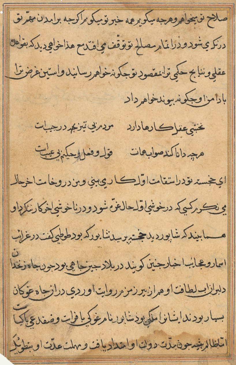 Seite aus Geschichten eines Papageis (Tuti-nama): Textseite von Unknown artist
