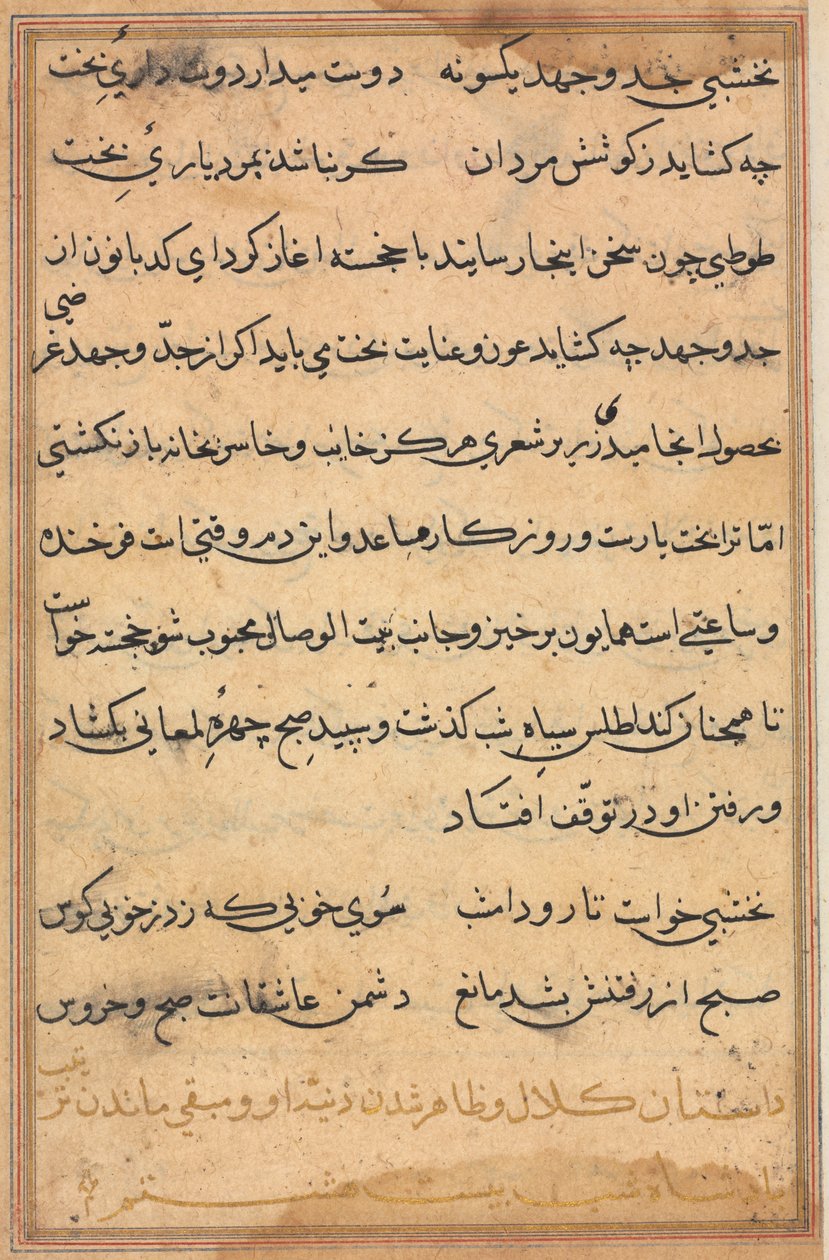 Seite aus Geschichten eines Papageis (Tuti-nama): Textseite von Unknown artist