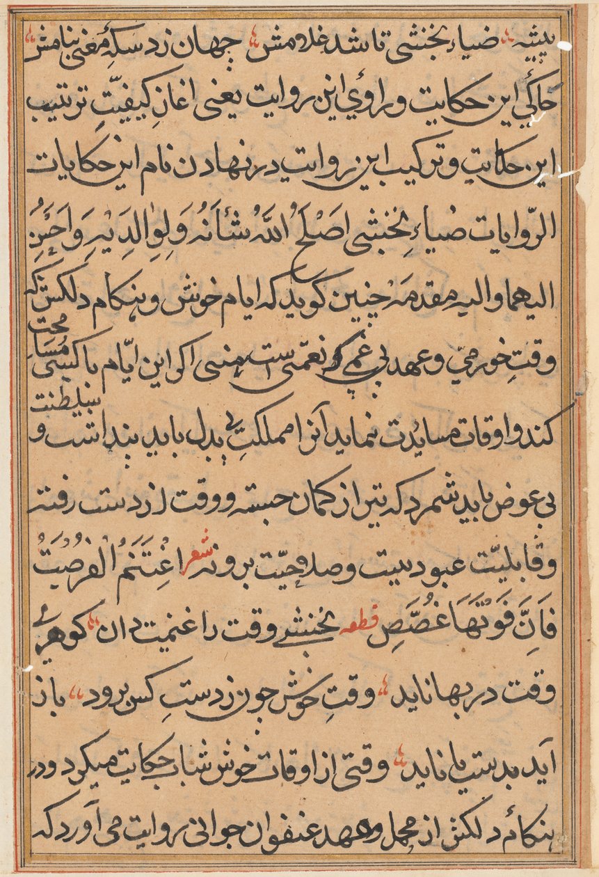 Seite aus Geschichten eines Papageis (Tuti-nama): Textseite von Unknown artist