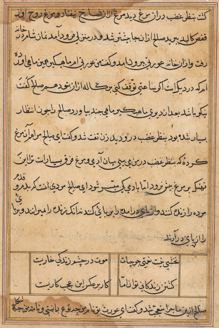 Seite aus Geschichten eines Papageis (Tuti-nama): Textseite von Unknown artist