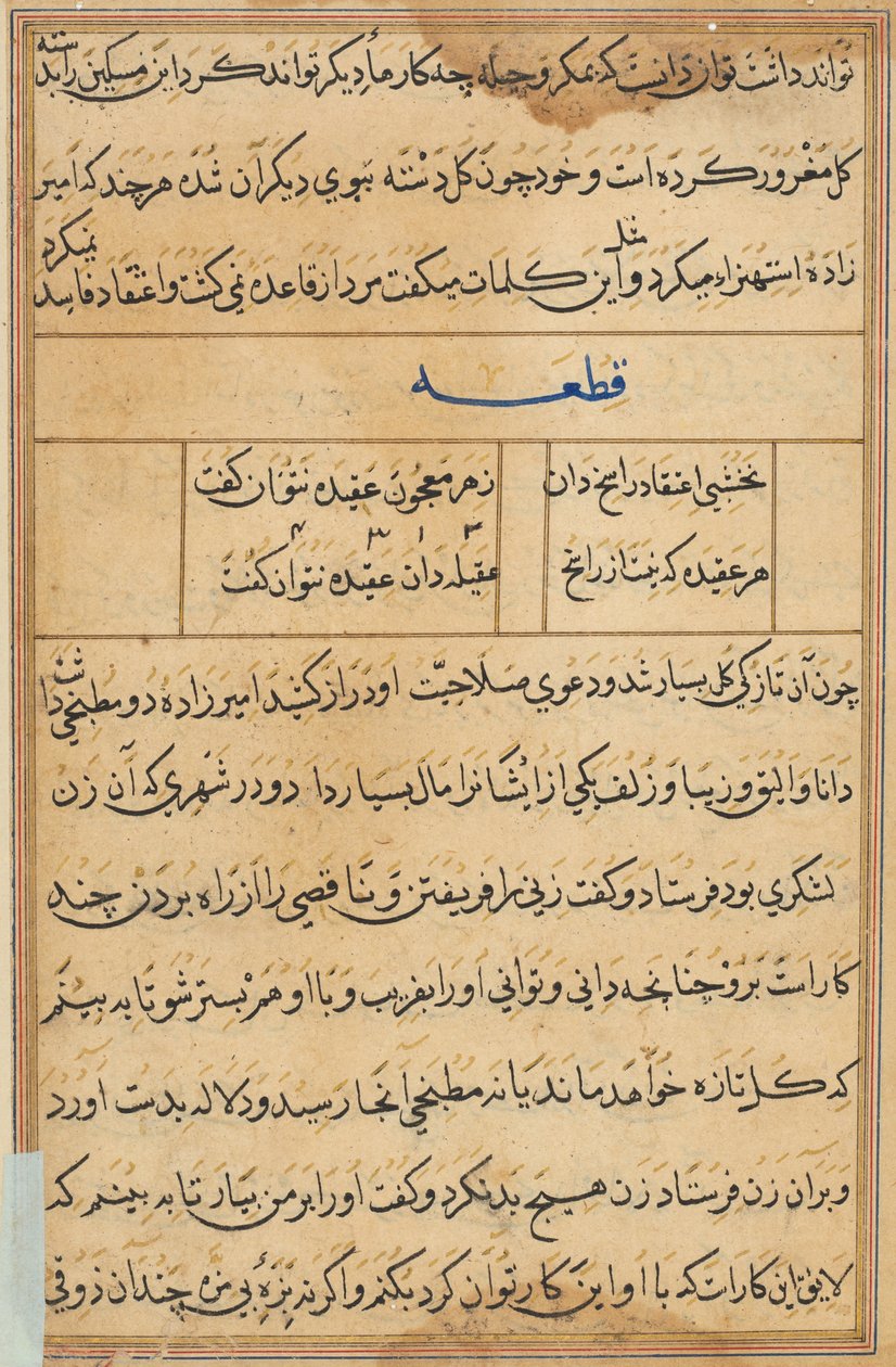 Seite aus Geschichten eines Papageis (Tuti-nama): Textseite von Unknown artist