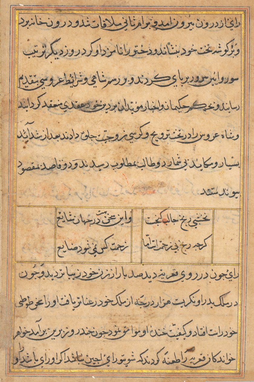 Seite aus Geschichten eines Papageis (Tuti-nama): Textseite von Unknown artist