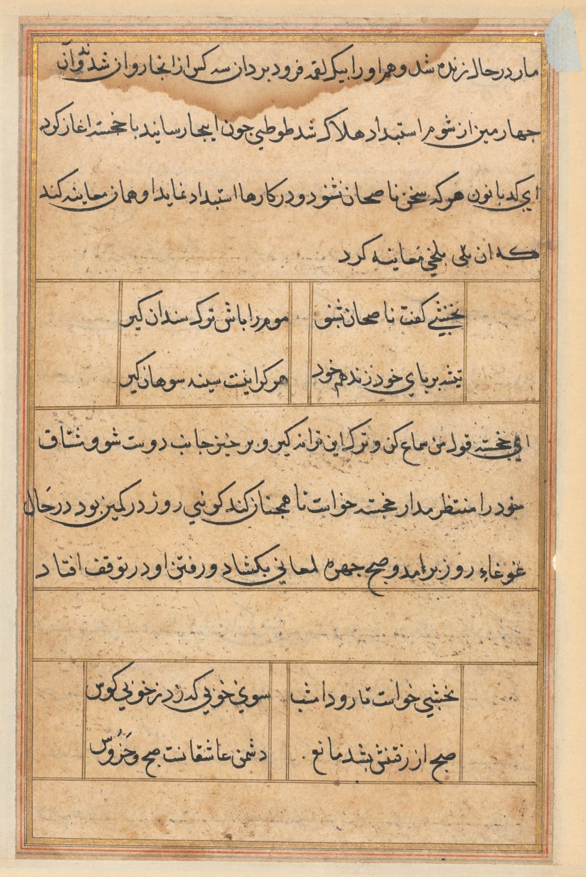 Seite aus Geschichten des Papageis (Tuti-nama): Textseite von Unknown artist